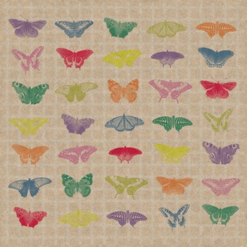 MP16-Coussin-Papillonsredim